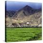 Gyantse Dzong, Gyantse County, Shigatse Prefecture, Tibet, China-Ivan Vdovin-Stretched Canvas