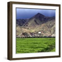 Gyantse Dzong, Gyantse County, Shigatse Prefecture, Tibet, China-Ivan Vdovin-Framed Photographic Print