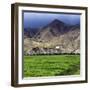 Gyantse Dzong, Gyantse County, Shigatse Prefecture, Tibet, China-Ivan Vdovin-Framed Photographic Print