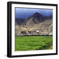 Gyantse Dzong, Gyantse County, Shigatse Prefecture, Tibet, China-Ivan Vdovin-Framed Photographic Print