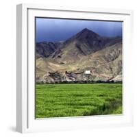 Gyantse Dzong, Gyantse County, Shigatse Prefecture, Tibet, China-Ivan Vdovin-Framed Photographic Print