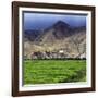 Gyantse Dzong, Gyantse County, Shigatse Prefecture, Tibet, China-Ivan Vdovin-Framed Photographic Print