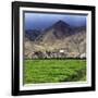 Gyantse Dzong, Gyantse County, Shigatse Prefecture, Tibet, China-Ivan Vdovin-Framed Photographic Print