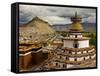 Gyantse Monastery, Along the Friendship Highway, Tibet-Michele Falzone-Framed Stretched Canvas