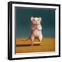 Gym Rat Duck Walk-Lucia Heffernan-Framed Art Print