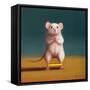 Gym Rat Duck Walk-Lucia Heffernan-Framed Stretched Canvas