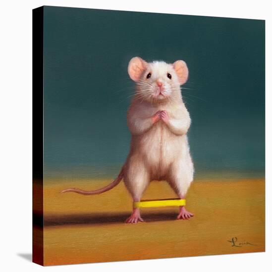 Gym Rat Duck Walk-Lucia Heffernan-Stretched Canvas