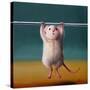 Gym Rat Pull Up-Lucia Heffernan-Stretched Canvas