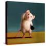 Gym Rat Standing Oblique Crunch-Lucia Heffernan-Stretched Canvas