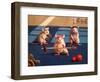 Gym Rats-Lucia Heffernan-Framed Art Print