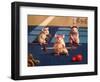 Gym Rats-Lucia Heffernan-Framed Art Print