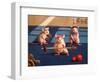 Gym Rats-Lucia Heffernan-Framed Art Print