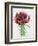 Gymea Lily, 1826-null-Framed Giclee Print