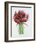 Gymea Lily, 1826-null-Framed Giclee Print