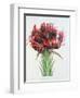 Gymea Lily, 1826-null-Framed Giclee Print