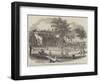 Gymnasia and Play-Ground of the Children of the Home and Colonial Infant School Society-null-Framed Giclee Print