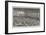 Gymnasium of the Central Young Men's Christian Association-null-Framed Giclee Print