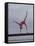 Gymnast Cathy Rigby, Long Beach, California-John Dominis-Framed Stretched Canvas