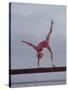 Gymnast Cathy Rigby, Long Beach, California-John Dominis-Stretched Canvas