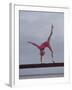 Gymnast Cathy Rigby, Long Beach, California-John Dominis-Framed Premium Photographic Print