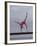 Gymnast Cathy Rigby, Long Beach, California-John Dominis-Framed Premium Photographic Print