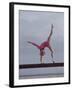 Gymnast Cathy Rigby, Long Beach, California-John Dominis-Framed Premium Photographic Print