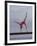 Gymnast Cathy Rigby, Long Beach, California-John Dominis-Framed Premium Photographic Print