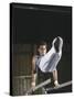 Gymnast on the Parallel Bars-null-Stretched Canvas