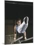 Gymnast on the Parallel Bars-null-Mounted Photographic Print