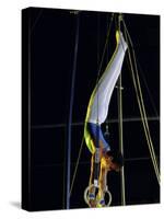 Gymnast on the Rings-null-Stretched Canvas
