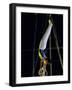 Gymnast on the Rings-null-Framed Premium Photographic Print