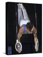 Gymnast on the Rings-null-Stretched Canvas