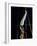 Gymnast on the Rings-null-Framed Photographic Print