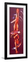 Gymnast Six, 2011-Penny Warden-Framed Giclee Print