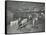 Gymnastics by Male Students, School of Building, Brixton, London, 1914-null-Framed Stretched Canvas