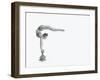 Gymnastics Series - Mexican Balance-Howard Ashton-Jones-Framed Photographic Print