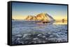 Gymsoya, Lofoten islands, Norway-ClickAlps-Framed Stretched Canvas