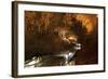 Gyokusendo Is a Giant Underground Cave, Okinawan Island, Japan-Paul Dymond-Framed Photographic Print