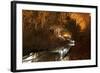 Gyokusendo Is a Giant Underground Cave, Okinawan Island, Japan-Paul Dymond-Framed Photographic Print