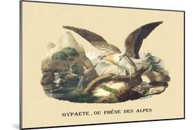 Gypaete, Ou Phene des Alpes-E.f. Noel-Mounted Art Print