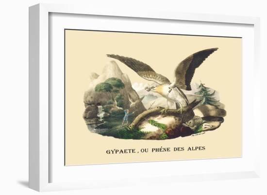 Gypaete, Ou Phene des Alpes-E.f. Noel-Framed Premium Giclee Print