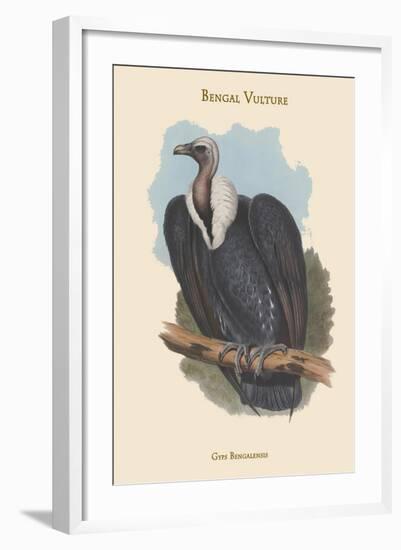 Gyps Bengalensis - Bengal Vulture-John Gould-Framed Art Print