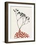 Gypsophila in a Red Vase-Alisa Galitsyna-Framed Photographic Print