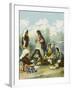 Gypsy Bohemian Women in Turkey Indulging in the 'High Life'-null-Framed Photographic Print