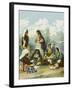 Gypsy Bohemian Women in Turkey Indulging in the 'High Life'-null-Framed Photographic Print