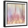 Gypsy Cherry Background-LightBoxJournal-Framed Giclee Print