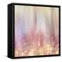 Gypsy Cherry Background-LightBoxJournal-Framed Stretched Canvas