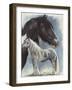 Gypsy Cob-Barbara Keith-Framed Giclee Print