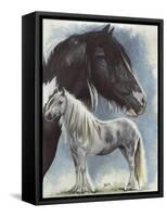 Gypsy Cob-Barbara Keith-Framed Stretched Canvas