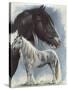 Gypsy Cob-Barbara Keith-Stretched Canvas